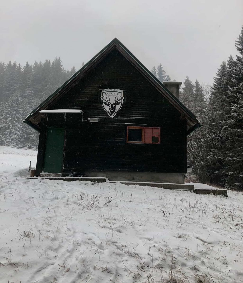 bukovik