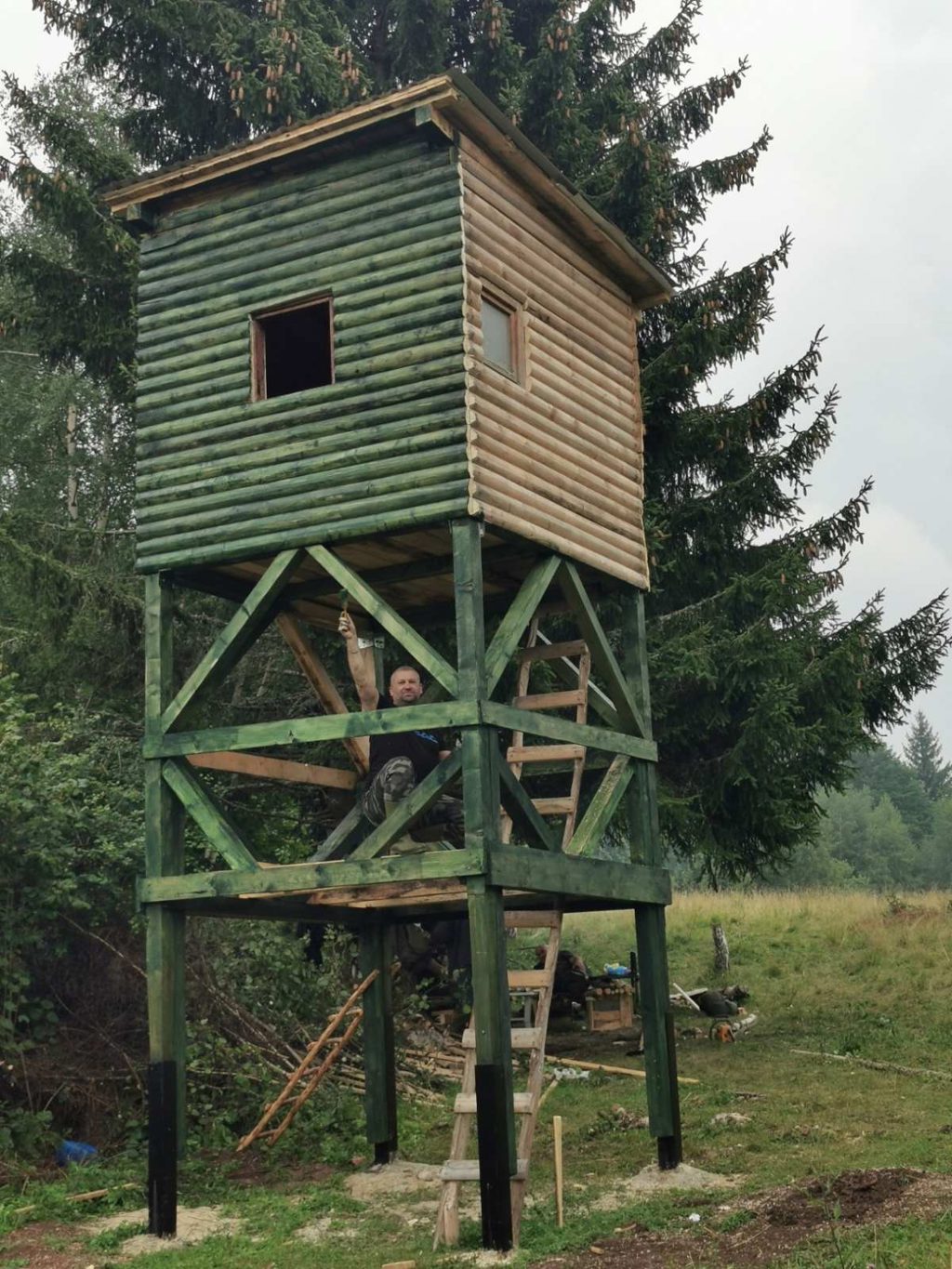 bukovik