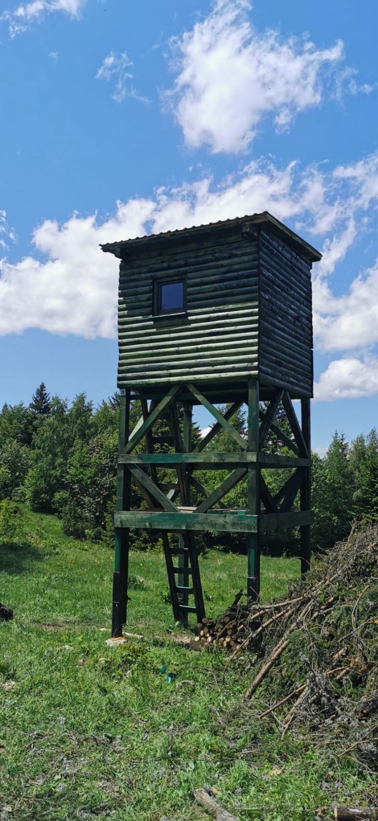 bukovik