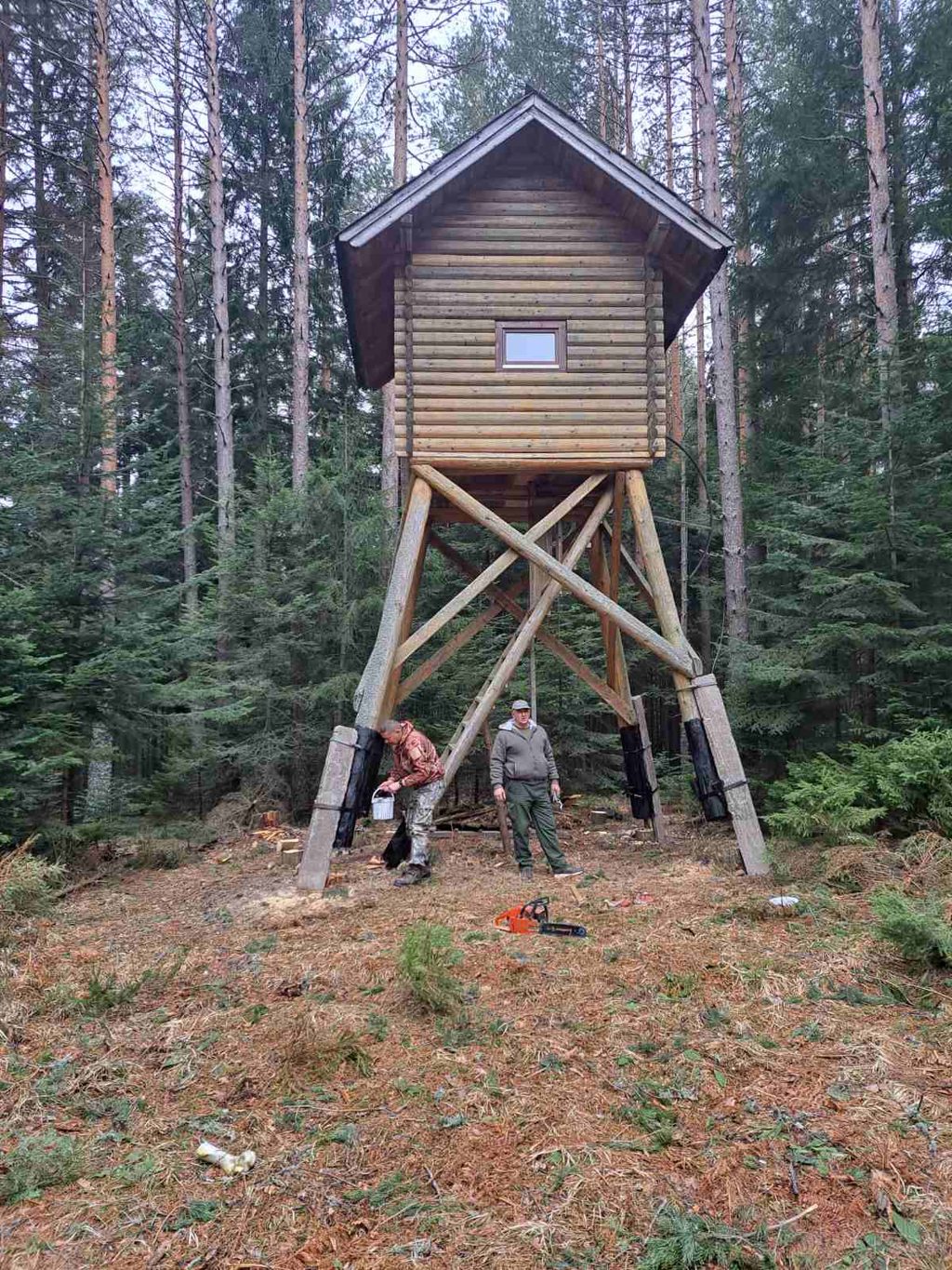 bukovik