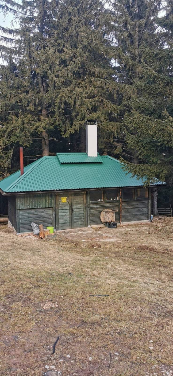 bukovik