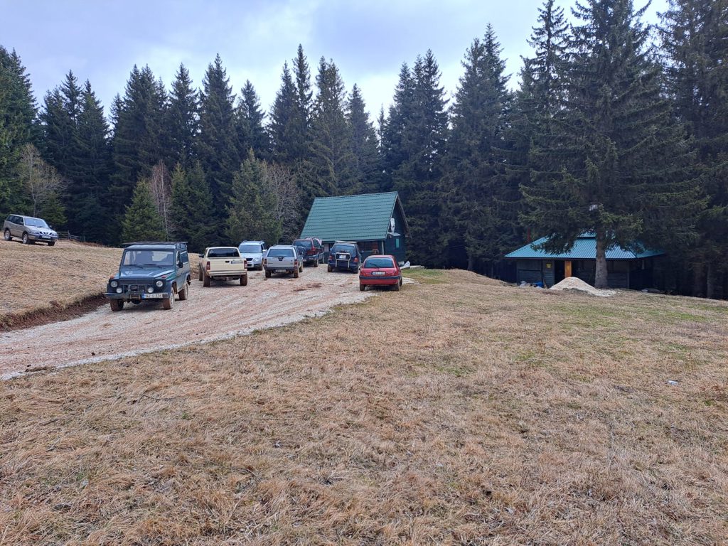 bukovik
