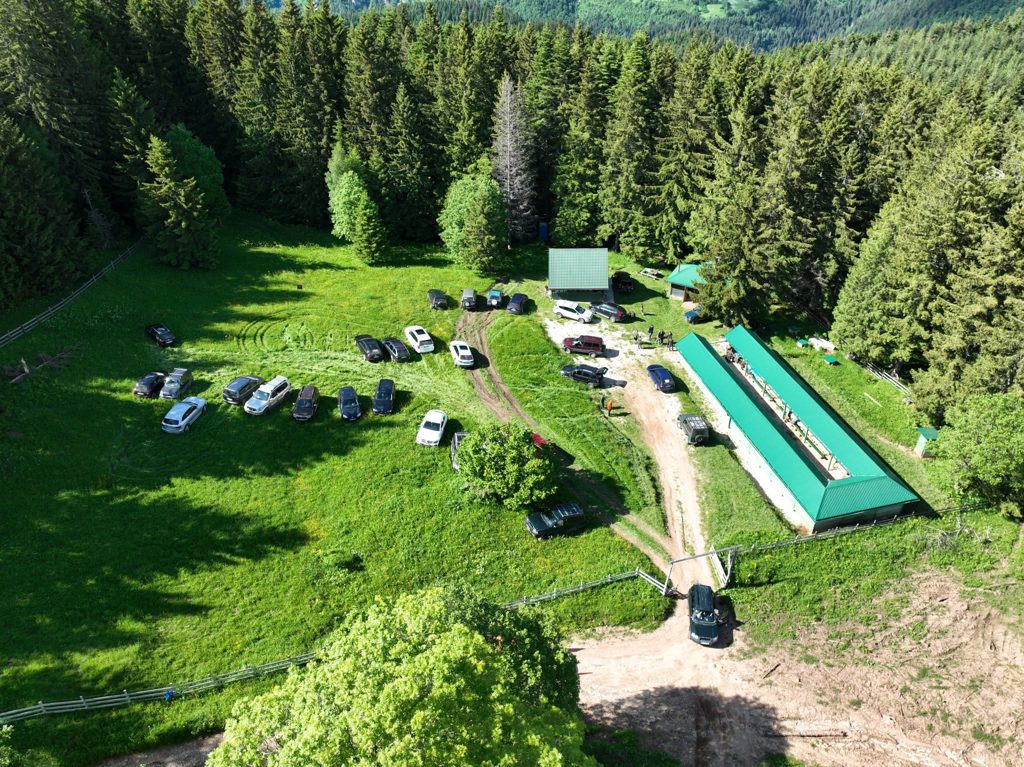bukovik